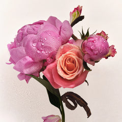 Scent Layering Trio Y0