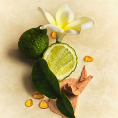 Skin Perfecting Body Lotion B5